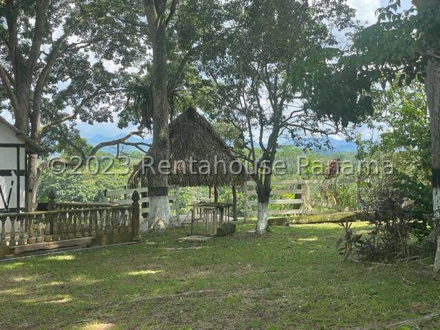 Commercial Property for Sale in  Bocas del Toro 07127